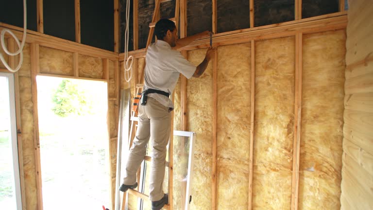 Best Spray Foam Insulation  in Lovington, IL