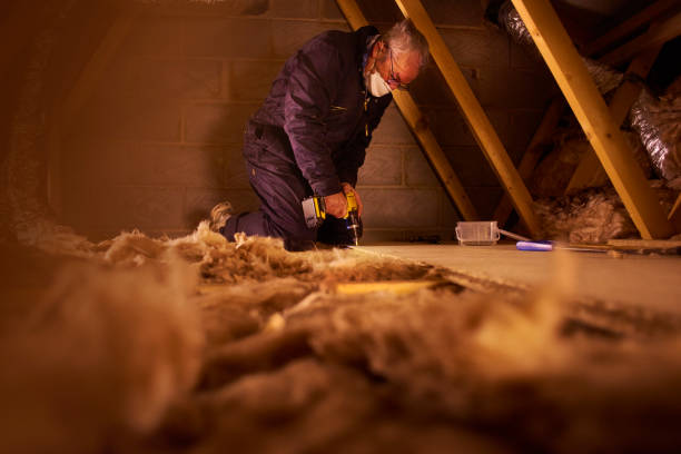 Best Blown-In Insulation  in Lovington, IL